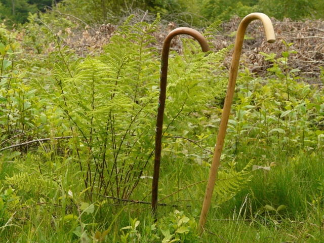 Le_Creux_wandelen_Vogezen Le Creux wandelen Vogezen