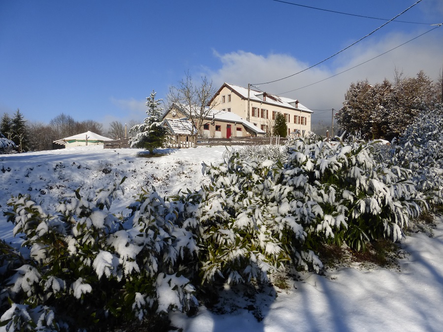 Gites Le Creux hiver winter Vogezen