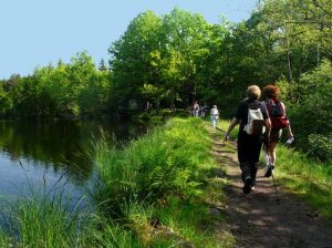 Le_Creux_wandelen_gites_Vogezen Le Creux wandelen